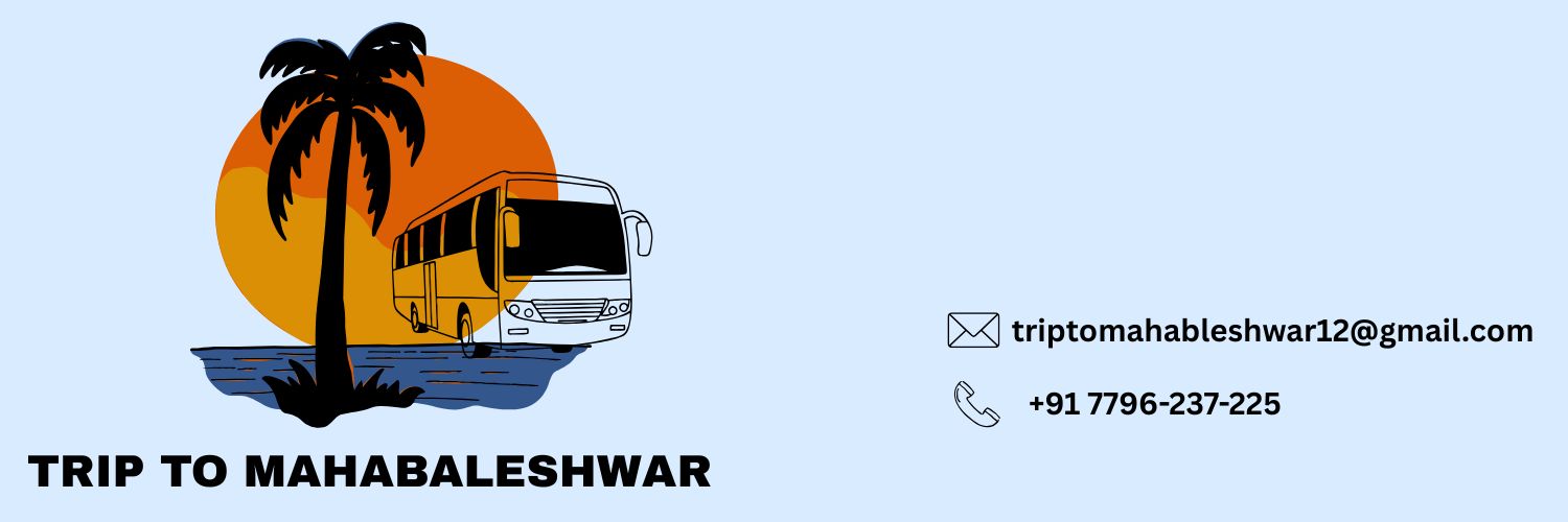 Tour & Travels 